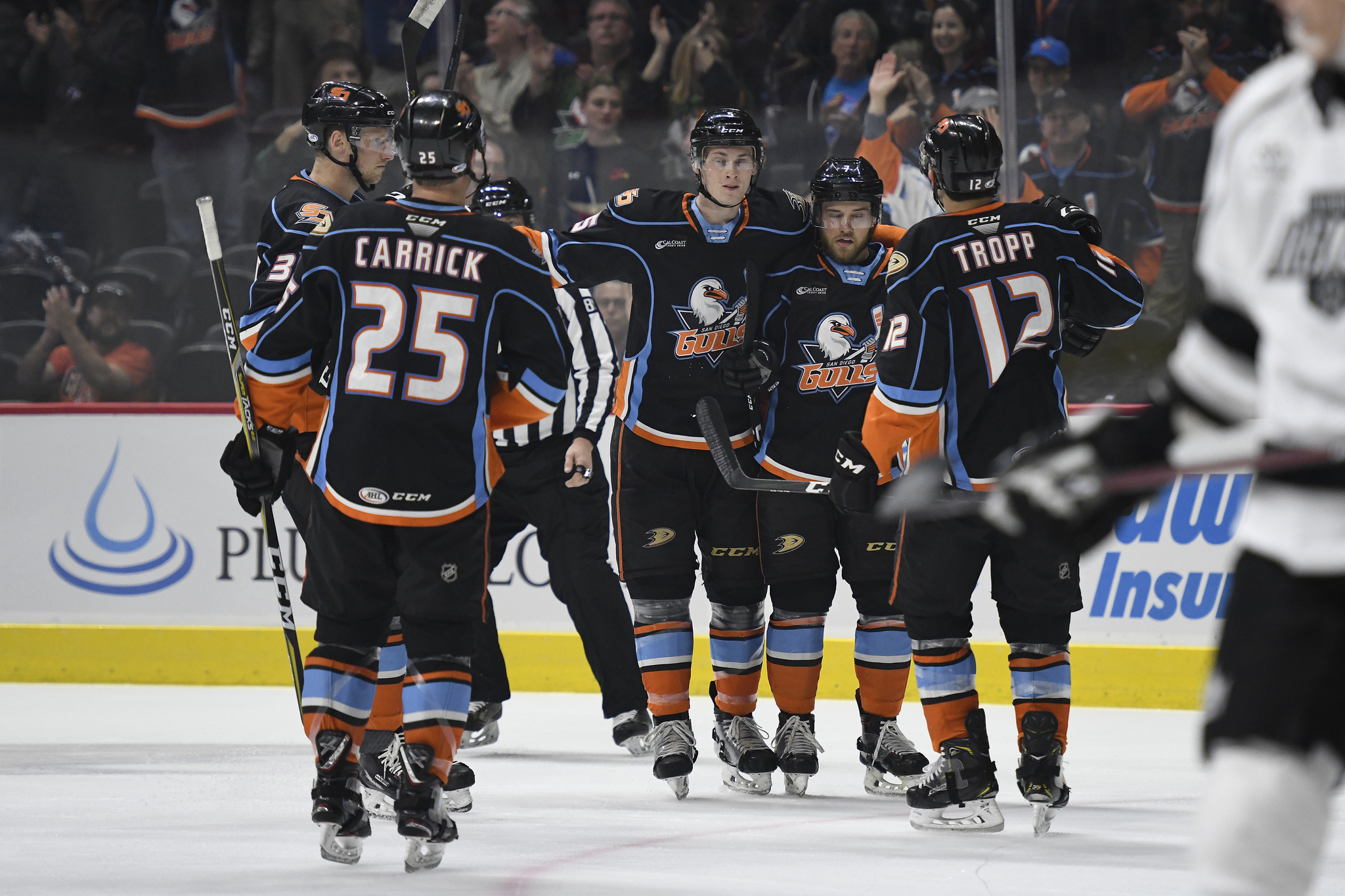 san diego gulls ahl jersey