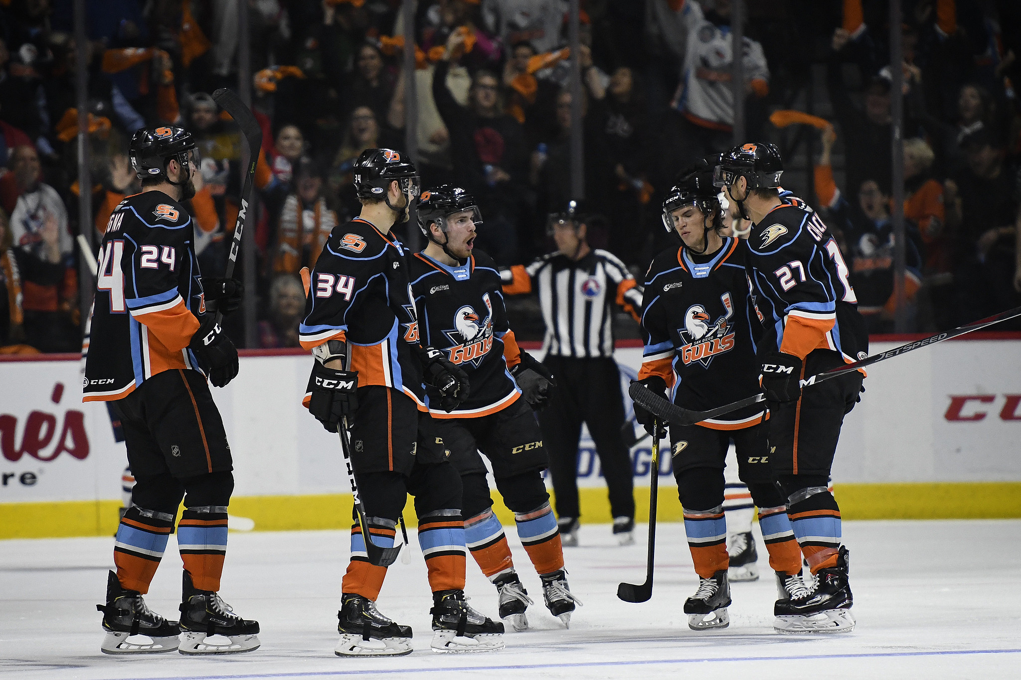 san-diego-gulls-vs-bakersfield-condors-game-4-defend-the-nest