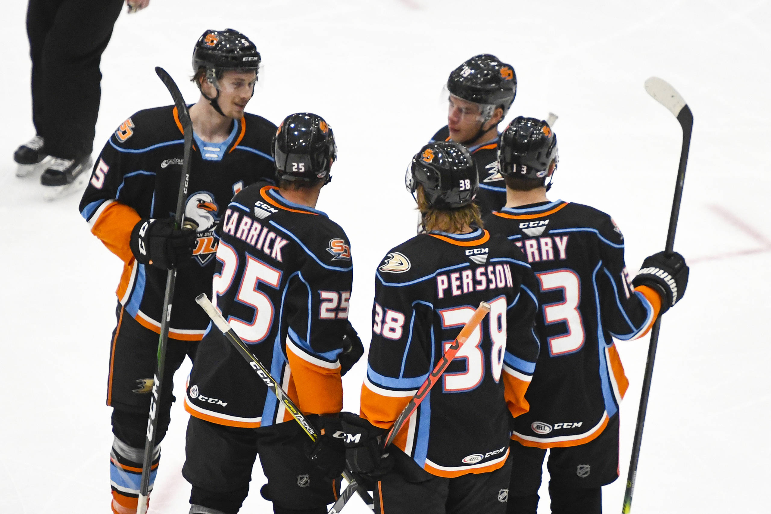Game 57 San Diego Gulls Tuscon Roadrunners Defend The Nest