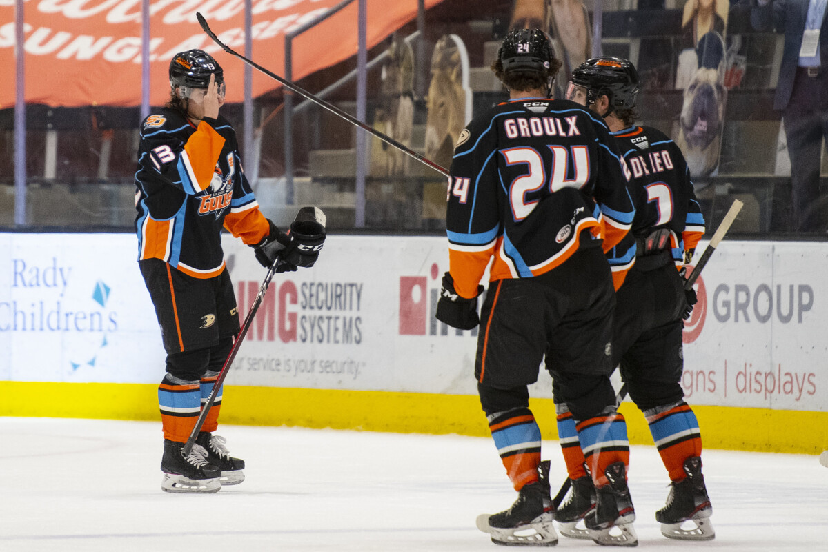 Game 33: San Diego Gulls vs Ontario Reign - Defend The Nest