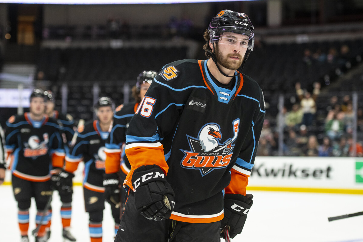 Recap: San Diego Gulls vs. San Jose Barracuda, 4.5 