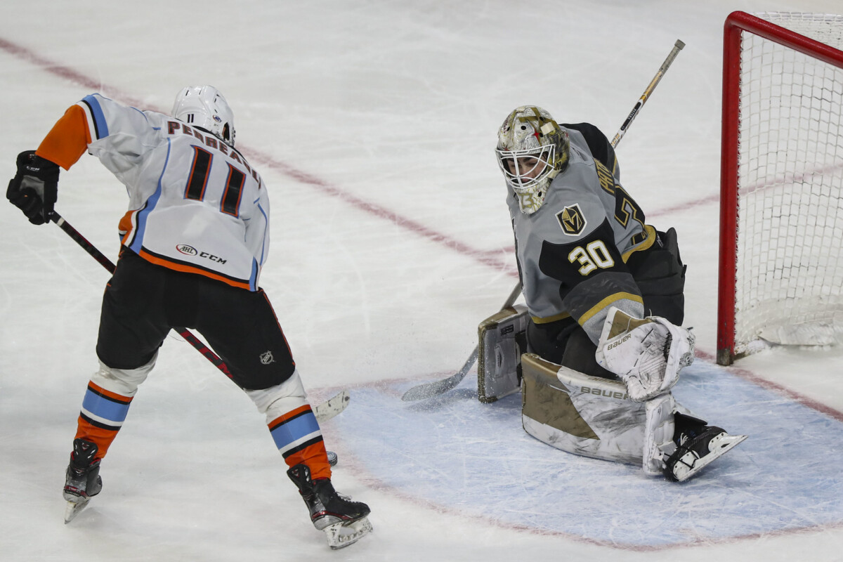 San Diego Gulls (@SDGullsAHL) / X