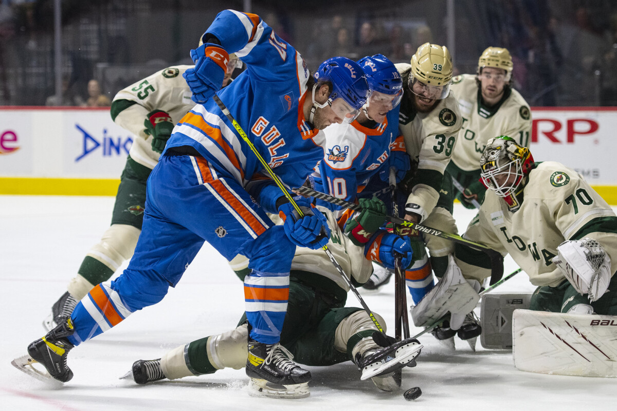 San Diego Gulls (@SDGullsAHL) / X